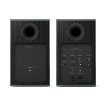 Preview: KEF Coda W, grün (moss green)