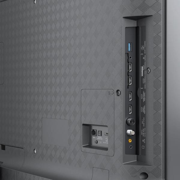 Loewe We. SEE 55 oled